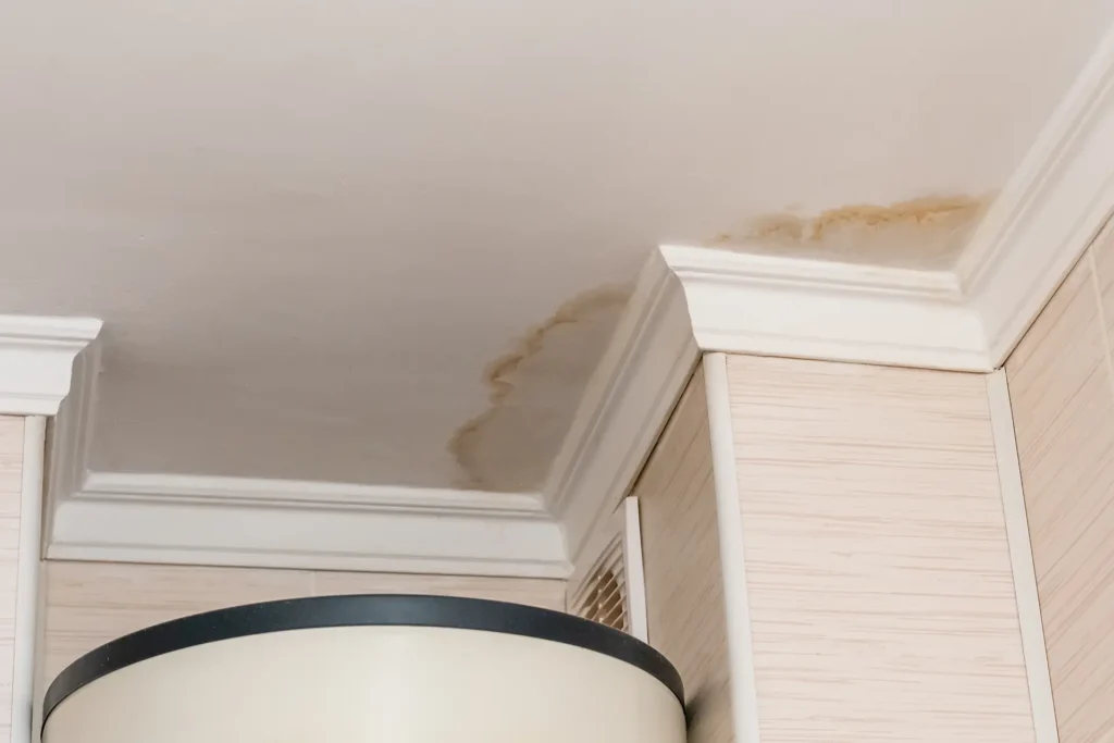 Damp investigation company UK